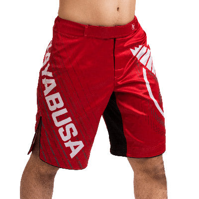 Hayabusa Chikara 4 Fight Shorts