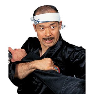 Grandmaster Shoto Tanemura's Samurai Jujutsu Series