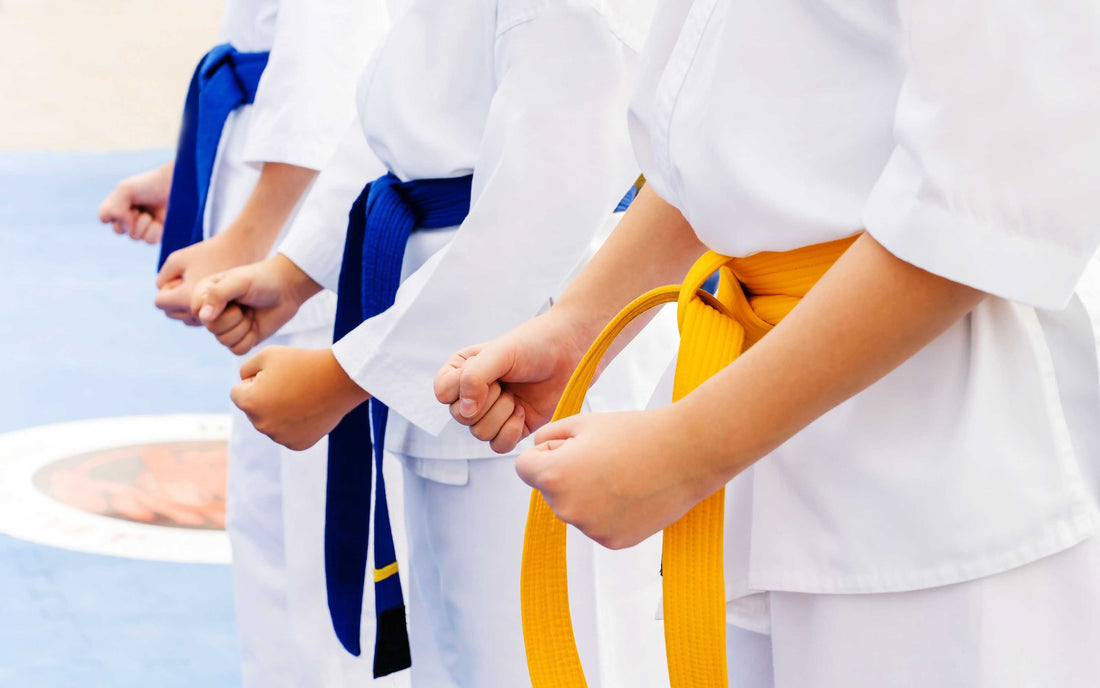 Belt Test Prep 2026: Discipline-Specific Gear, Etiquette, and Printable Checklists for Karate, Taekwondo, and BJJ