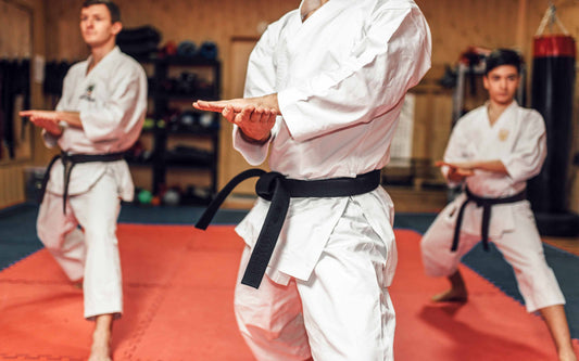 How Often Should You Train Martial Arts for Faster Progress?