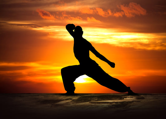 Martial artist striking a pose at sunset. 