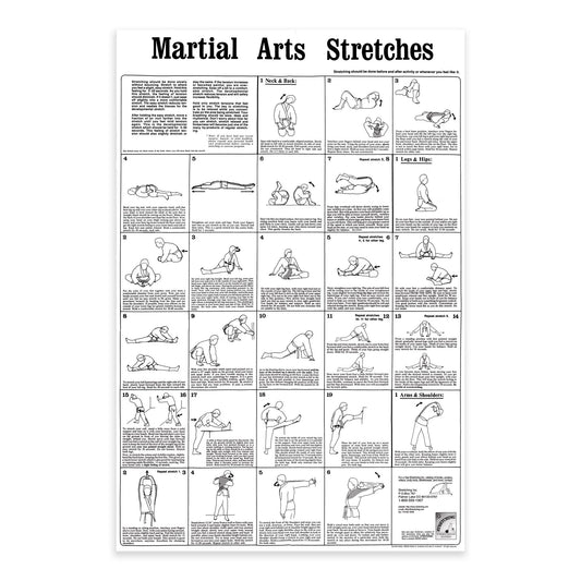 Martial Arts Stretching Poster