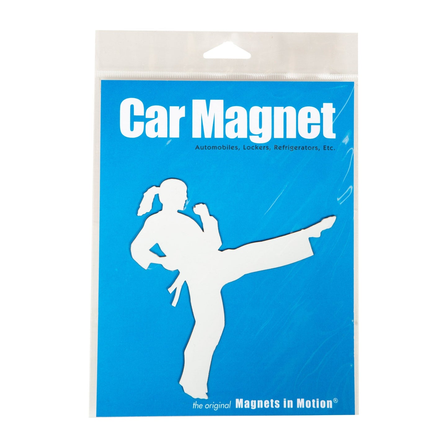 Martial Arts Magnet