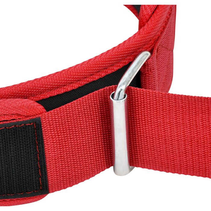 RDX RX5 Weightlifting Belt