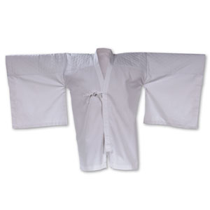 Kimono Sleeve Keikogi