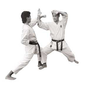 Master Kenneth Funakoshi's Shotokan Karate Series Titles